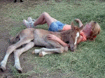 2004 CJ Kilomac Filly at 10 hours old